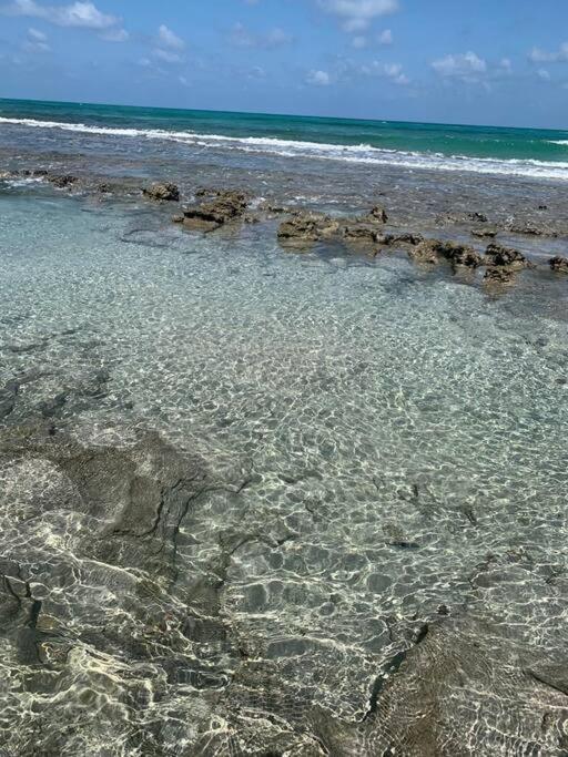 Casa De Praia - Village Praia Dos Carneiros 1 Tamandaré Dış mekan fotoğraf